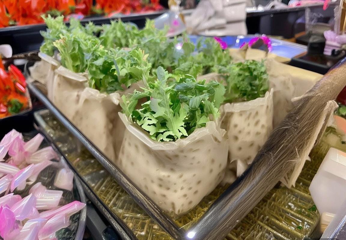 瓜迪奥拉炮轰VAR失误：分析事件影响与改进建议(图3)