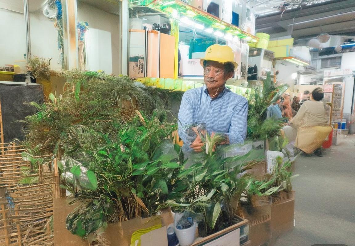 巴塞罗那VS皇家社会：积分榜激战，战术对决与心理较量